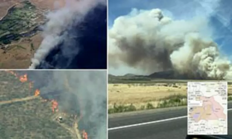 Southern California Wildfires Force Mass Evacuations Amid High Winds