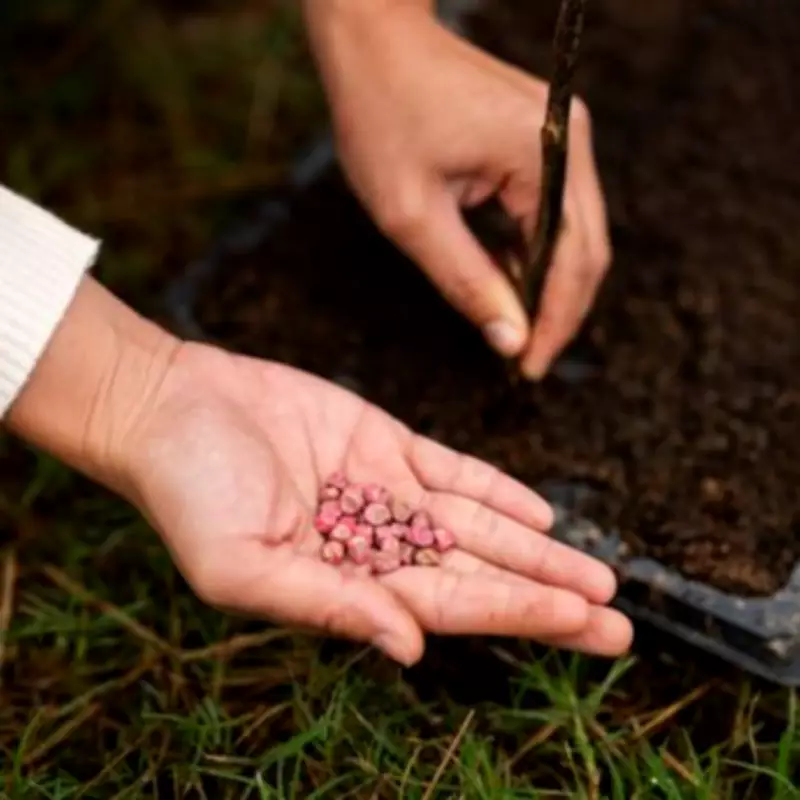 Sow 5 Seeds in April for Abundant Harvests This Year