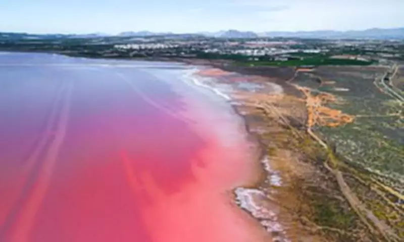 Spain's Costa Blanca: Perfect Egypt Alternative for UK Holidaymakers