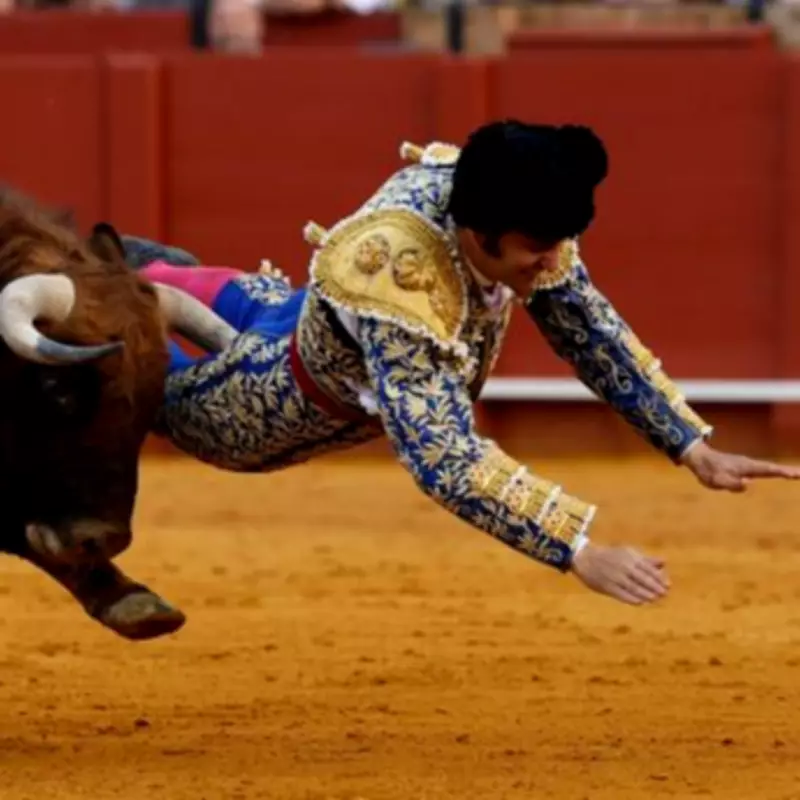 Spanish Bullfighting Star Morante de la Puebla Gored, Suffers Severe Rectal Injury
