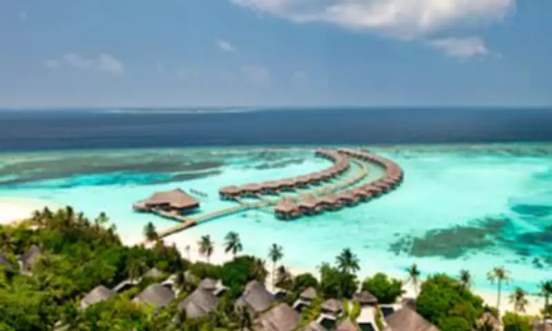 Spanish Honeymooner Fights for Life After Shark Attack in Maldives