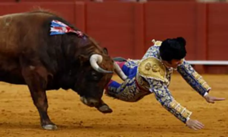 Spanish Matador Morante de la Puebla Suffers Severe Rectal Injury in Bull Goring