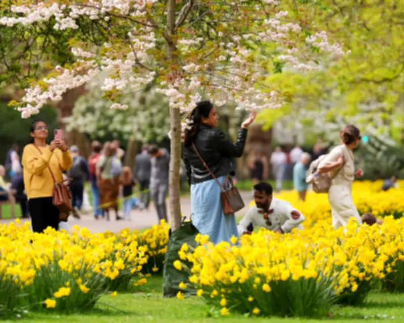 Spring Blooms Flourish Across England After Temperature Swings