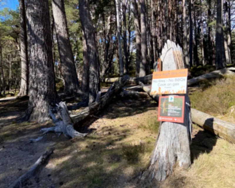 Spring Brings Wildfire Ban in Cairngorms as Dry Conditions Persist