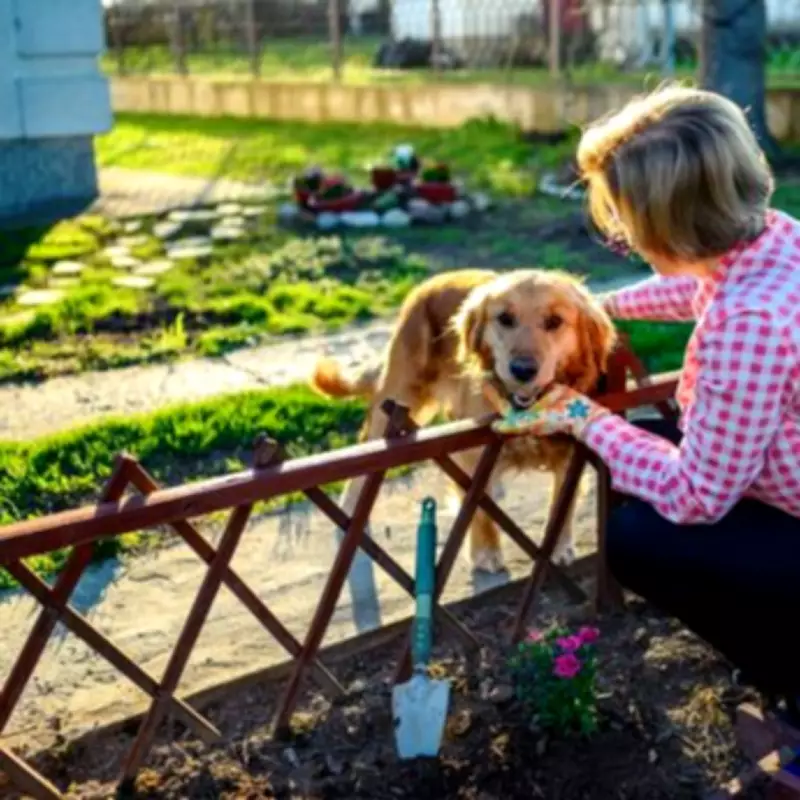 Spring Compost Alert: Hidden Danger to Dogs in UK Gardens