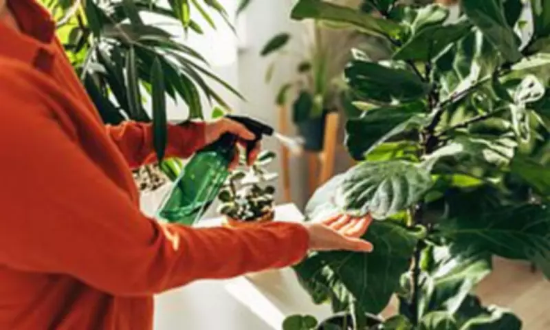 Spring Houseplant Care: Expert Tips to Revitalise Your Indoor Greenery