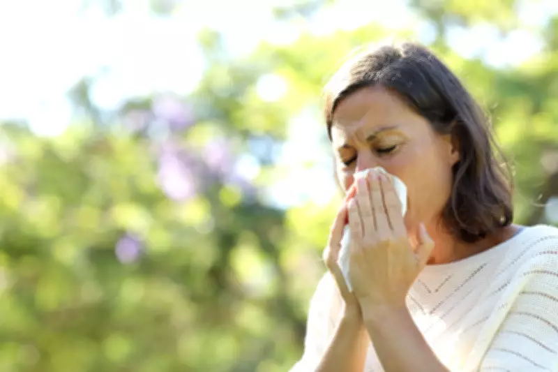 Spring Sickness Surge: Why Are So Many People Feeling Unwell?