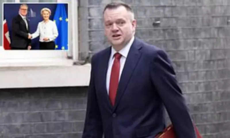 Starmer's EU Negotiator Defends Brexit 'Reset' Amid Criticism