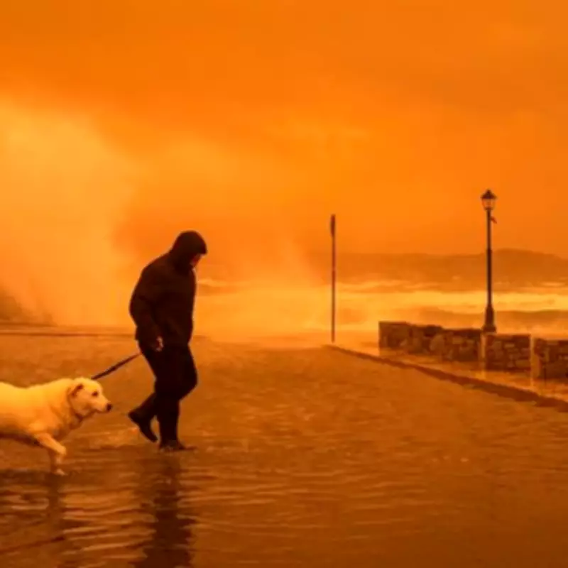 Storm Erminio Claims Life in Greece as Saharan Dust Turns Skies Red