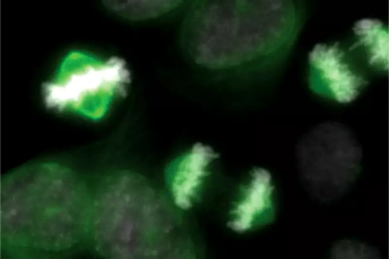 Study of Cellular 'Light Switches' Could Spark New Cancer Treatments