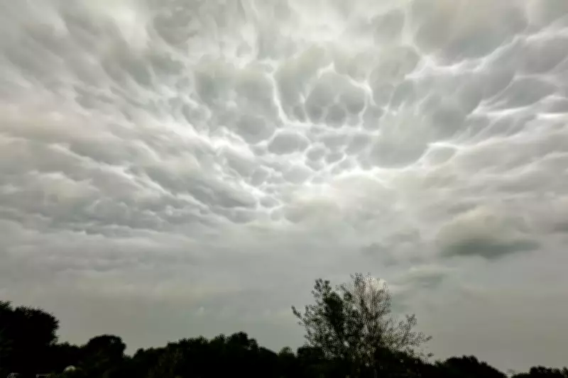 Study Says Americans Overcharged $150B on Insurance, Urges Federal Action