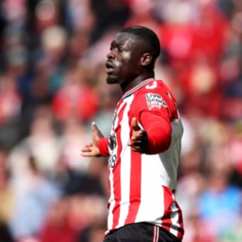 Sunderland Condemn Racist Abuse Against Brian Brobbey After Tottenham Win