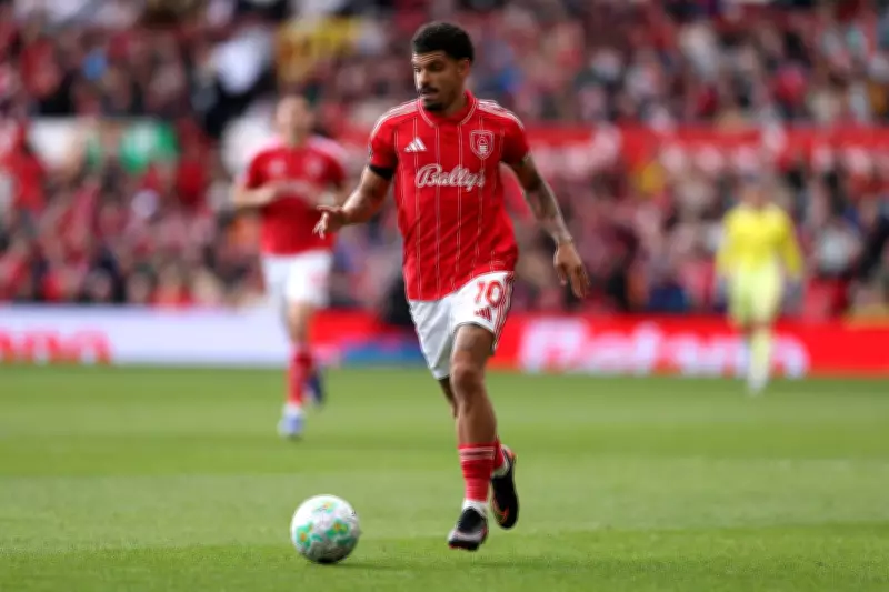 Sunderland vs Nottingham Forest: Betting Tips and Predictions