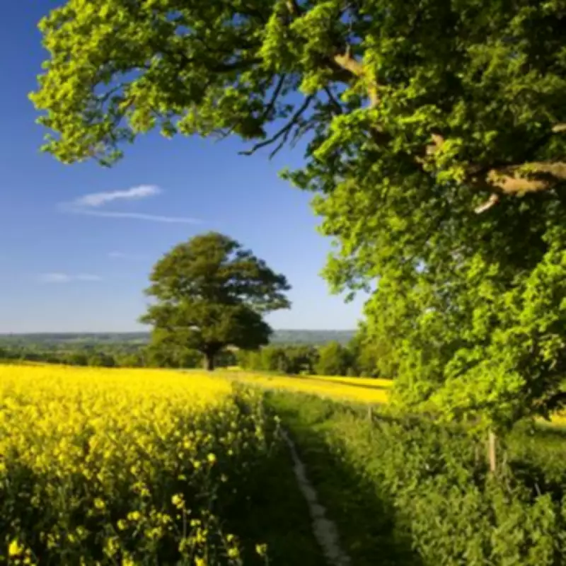 Surrey's Brockham Village Crowned Best UK Place to Live for 2026
