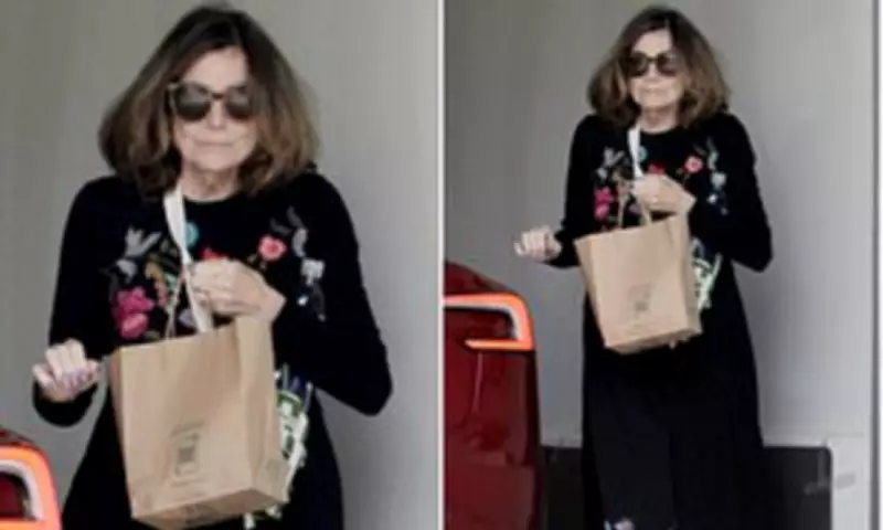 Susan Saint James Spotted in LA at 79: Emmy Winner's Rare Outing