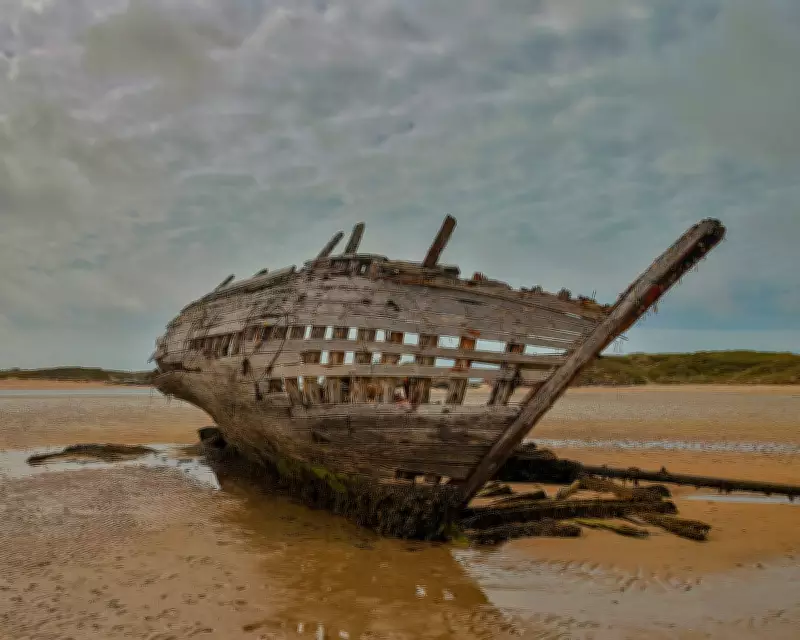 Susannah Dickey's 'Into the Wreck' Offers a Profound Exploration of Grief
