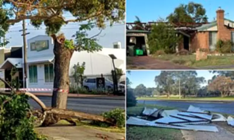 Suspected Tornado Wreaks Havoc in Western Australia's Bunbury