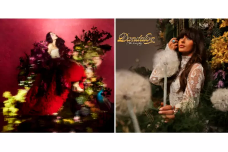 Sydney Sweeney's Boxing Biopic and Final Season of Hacks Lead New Streaming Releases