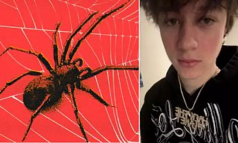 Teen hacker who mocked FBI arrested in Finland, charged in cyber heists