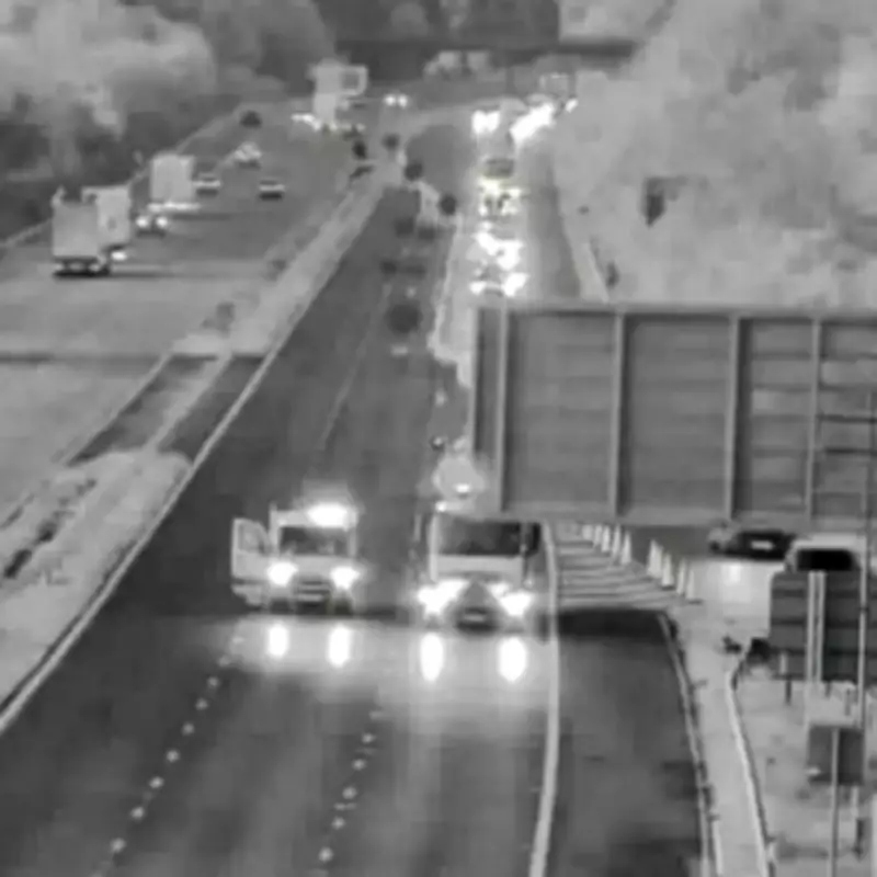 Teen Tasered by Police Then Killed on M5 Sparks Investigation