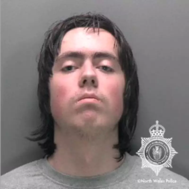 Teenager Jailed for Life After AI-Chatbot Assisted Murder of His Mother