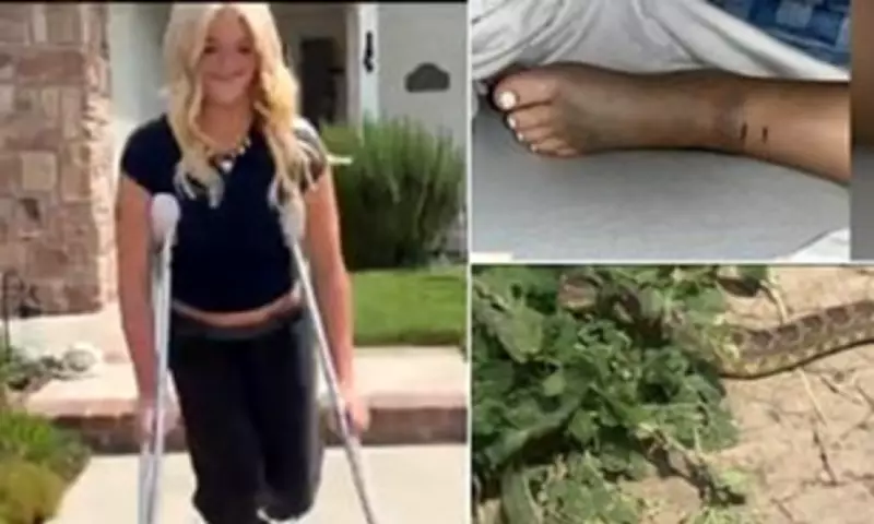 Teen's Terrifying Rattlesnake Bite During California Bike Ride Sparks Warning