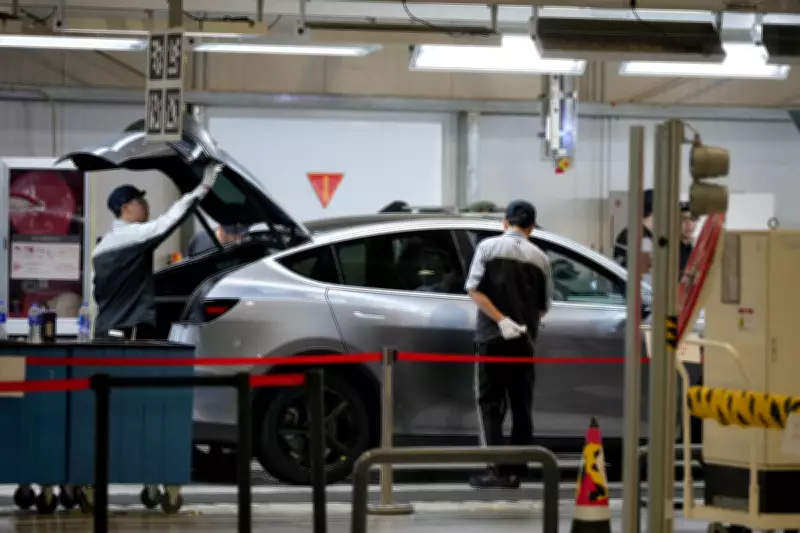 Tesla Executive: Shanghai Factory Key to Humanoid Robot Mass Production