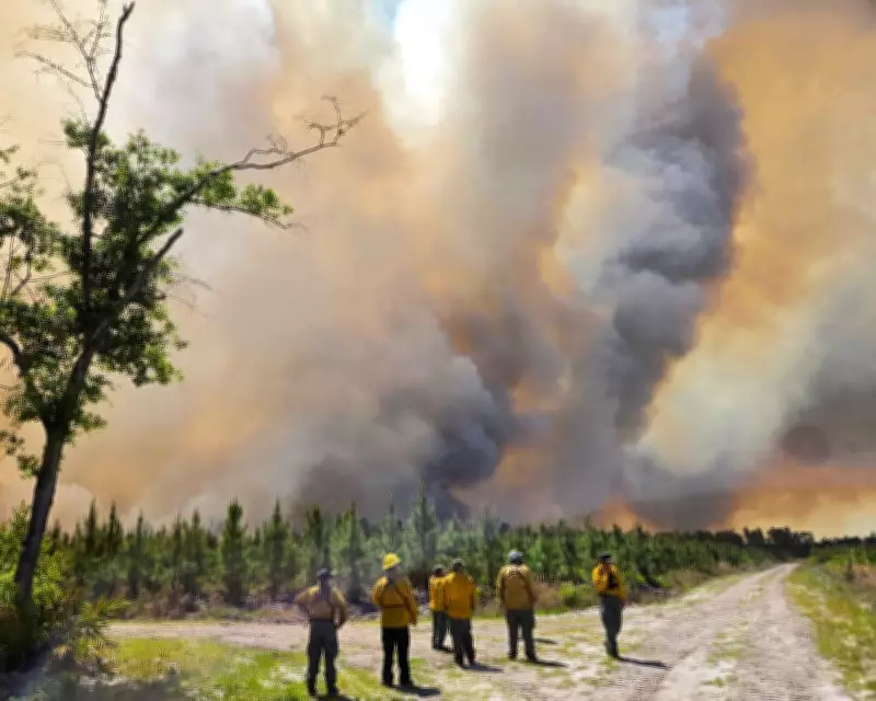 Texas Tornado Kills Two as Wildfires Rage in Georgia Amid Extreme Weather