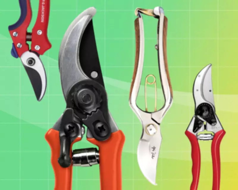 The Best Secateurs for UK Gardeners: Expert Reviews and Top Picks