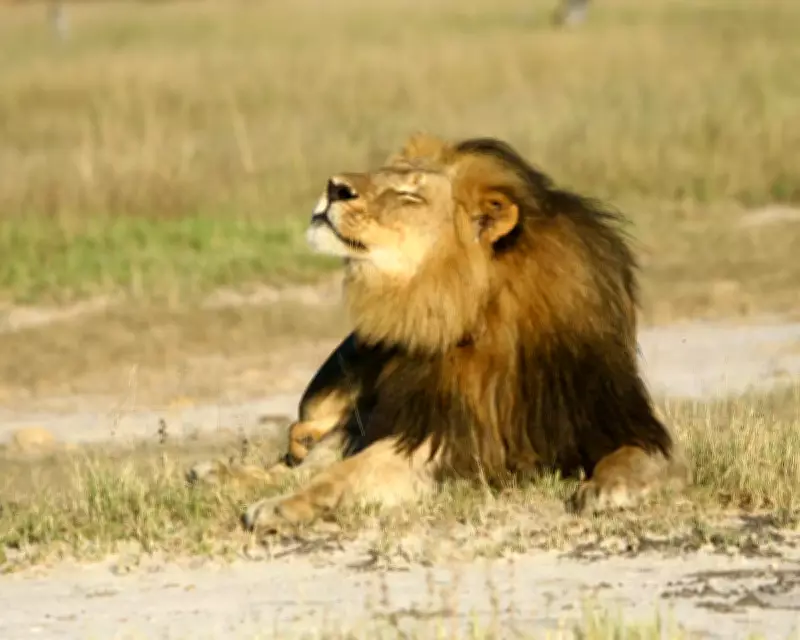 The Controversial Economics of Trophy Hunting in African Conservation