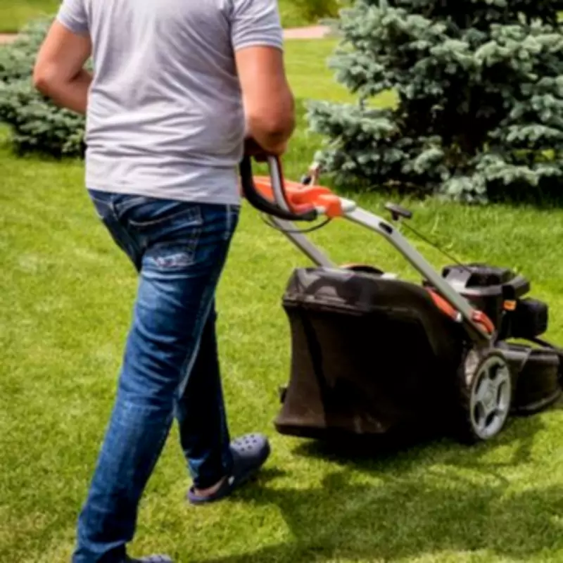 The Optimal Time to Mow Your Lawn for Healthier, Greener Grass