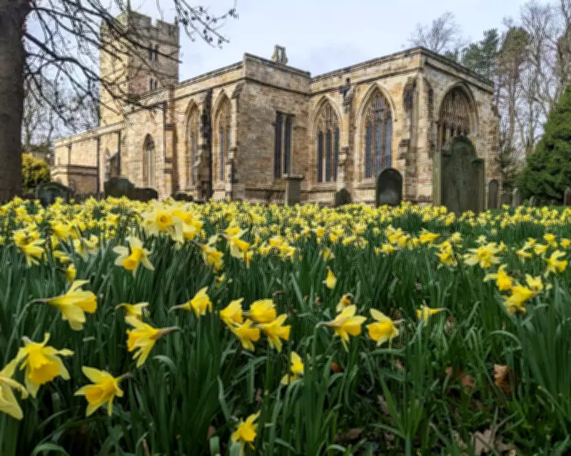 The Quiet Vitality of a Well-Managed Churchyard in Rural England