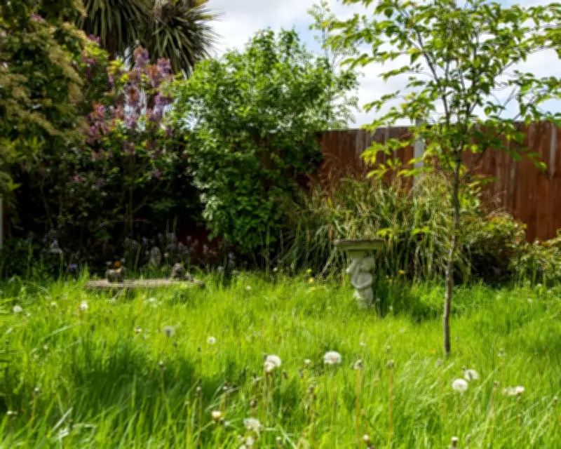 The Untidy Garden's Secret: Why We Must Embrace Nature's Messy Magic
