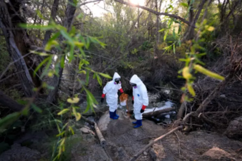 Thousands Suffer Health Issues from Tijuana River Sewage Toxins in Southern California