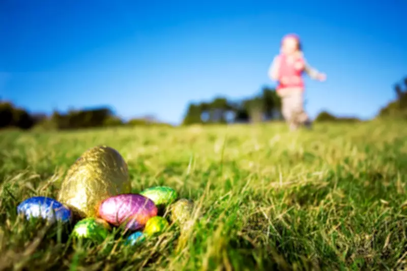 Three Dead Including Infant as High Winds Topple Tree at German Easter Egg Hunt