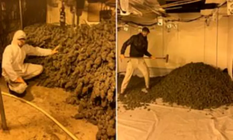Three Men Jailed for £1M Cannabis Farm in Oldham Industrial Unit