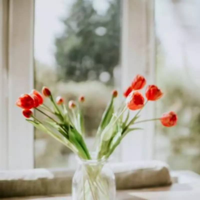 Three Popular Tulip Tricks Tested: The Clear Winner Revealed