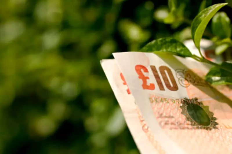 Thrifty Gardening Tips: Save Money with Expert Advice from Mark Lane