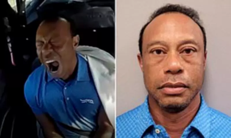 Tiger Woods' Arrest Reveals Painful Struggle and Obsessive Comeback Quest