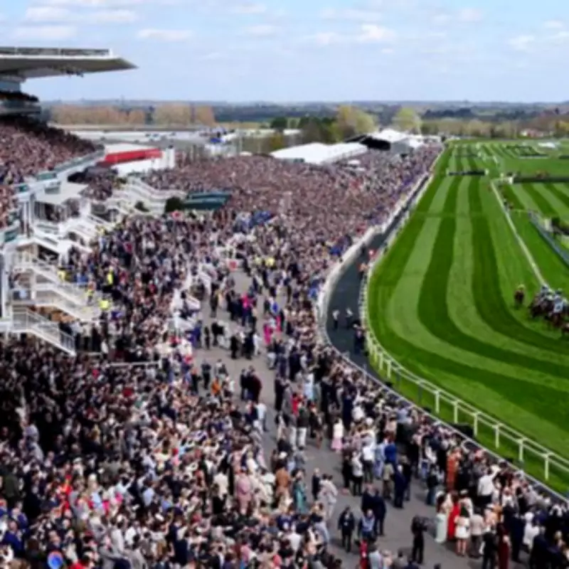 Top Grand National Betting Offers: Betfair, Paddy Power, Sky Bet Deals