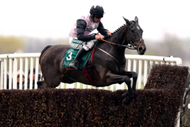 Top Grand National Betting Sites and Free Bets for 2026 Aintree Festival