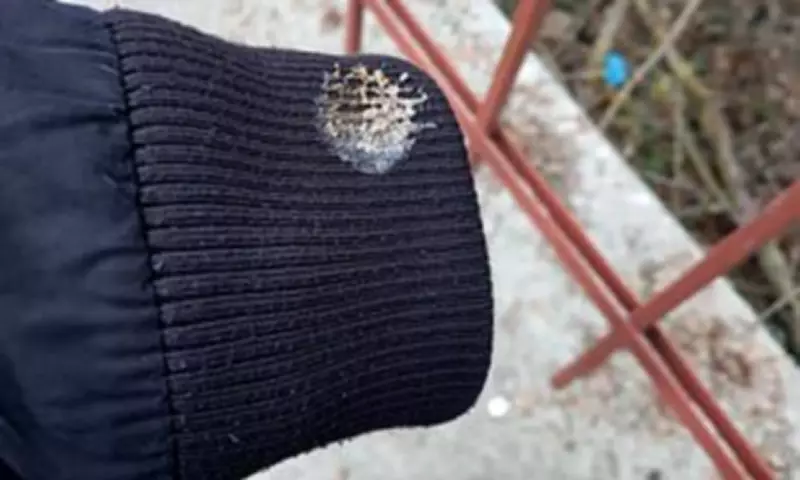 Top Travel Scams to Avoid in 2025: From Pickpocketing to Fake Tickets