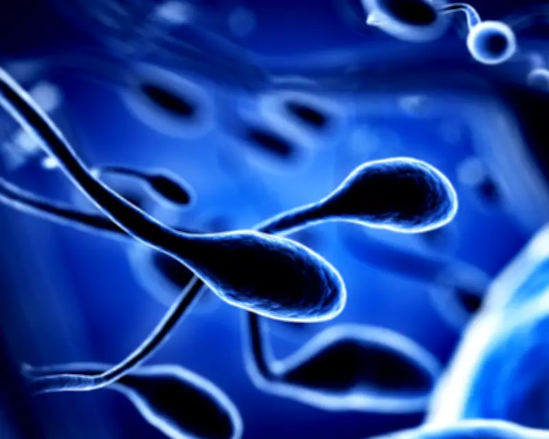 Toxic Chemicals and Climate Change May Worsen Fertility Decline, Study Finds