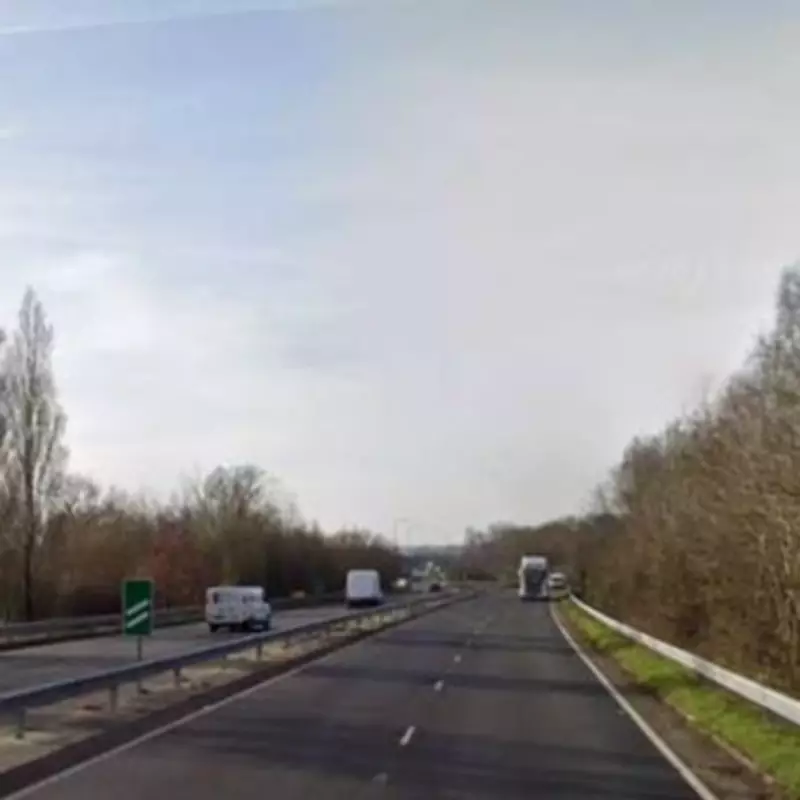 Tragic Collision Claims Lives of Young Girl and Man in Kent Pony and Trap Crash