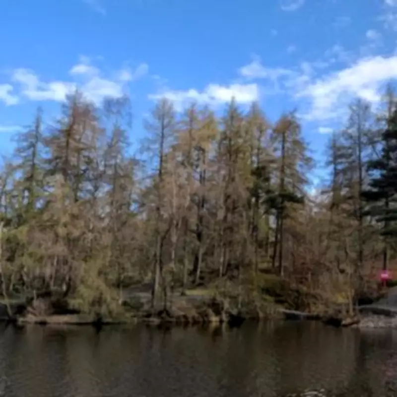Tragic Discovery: 17-Year-Old Boy Found Dead in Lake District Tarn Search