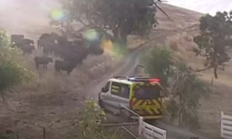 Tragic Quad Bike Crash Claims Life of Seven-Year-Old Girl in Adelaide