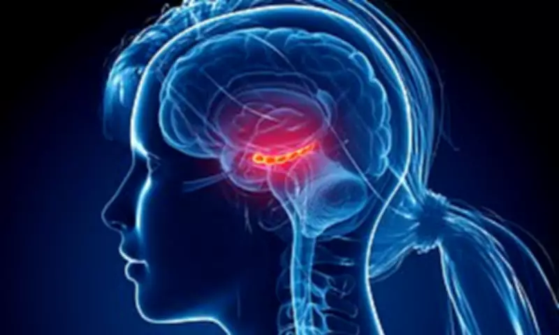 Train Your Brain to Be 18 Years Younger: Expert Guide to Combat Dementia
