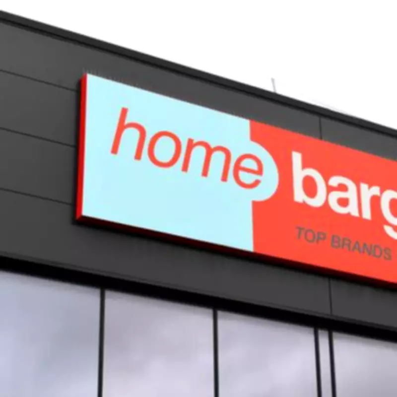 Transform Your Garden Into a Birdwatcher's Haven With This £15 Home Bargains Feeder