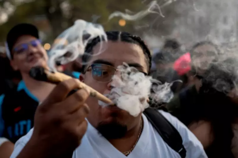 Trump Administration Directs Agencies to Prepare for Marijuana Reclassification