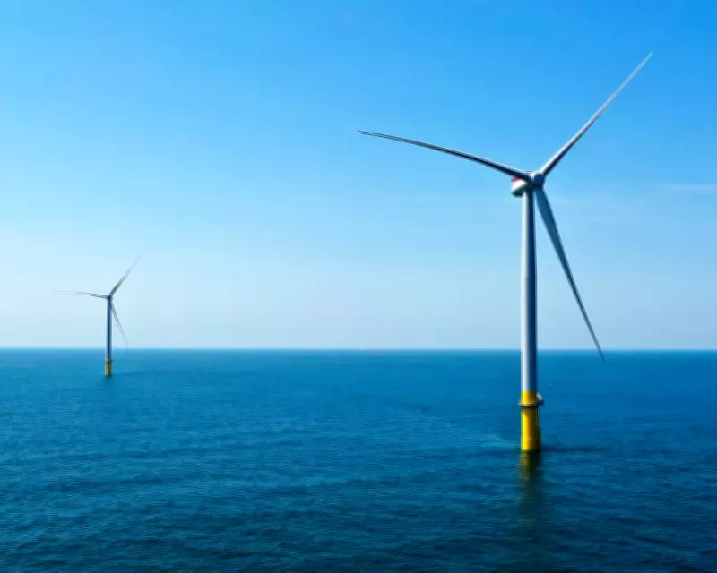 Trump Administration Halts New Wind Energy Projects Nationwide
